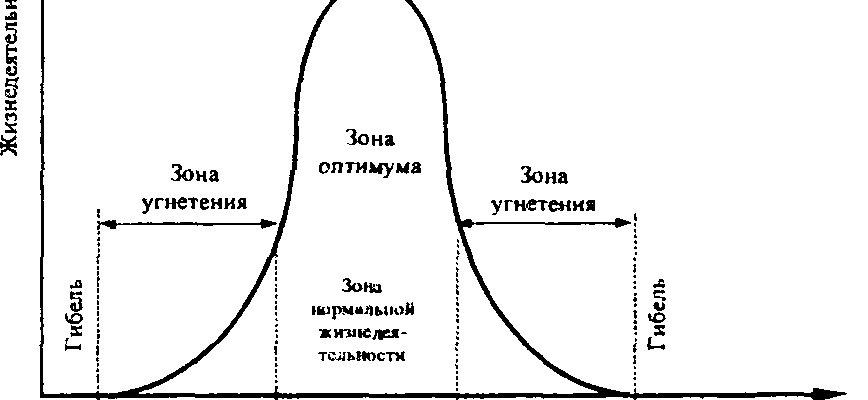 ТЕХНОГЕННАЯ НАГРУЗКА НА ОКРУЖАЮЩУЮ СРЕДУ