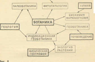 Откройте для себя искусство латинского творчества: важные советы для начинающих