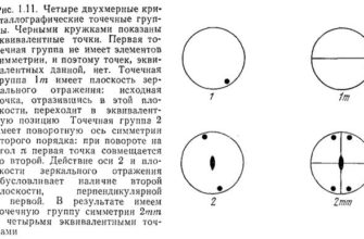 Раскрытие поразительного сокращения видов диких животных