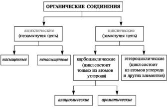 Упрощенный официальный вход в Moodle: начните с легкостью