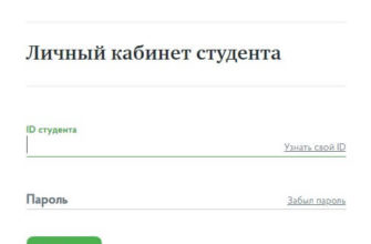 Легкая обработка текста на естественном языке: руководство для начинающих